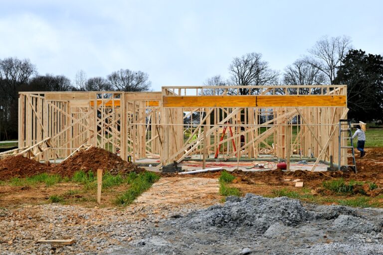 home construction, frame, wood, home, construction, house, new, architecture, site, build, building, nature, estate, lumber, structure, industry, residential, sky, carpentry, property, design, work, exterior, roof
